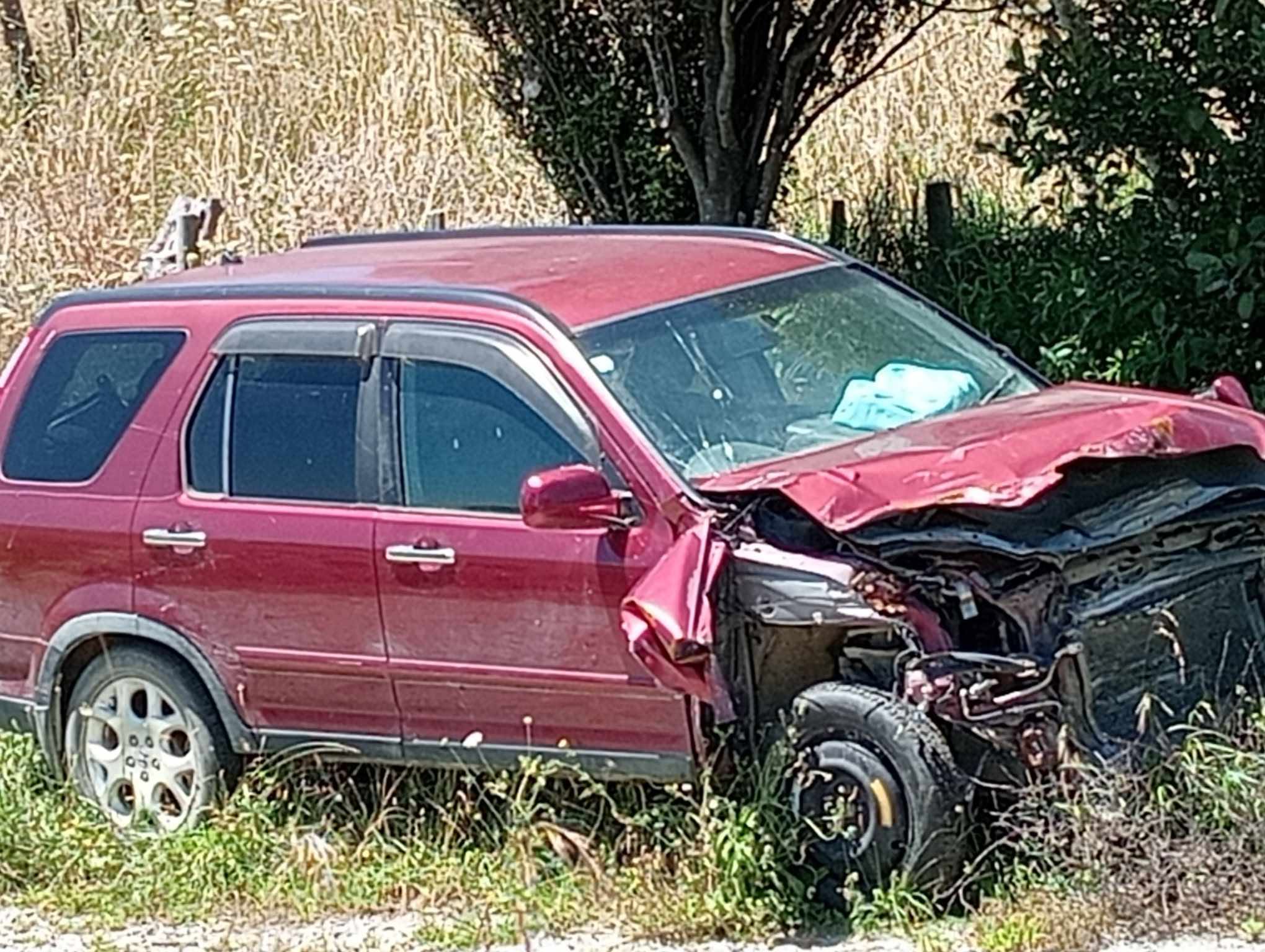 ZM Auto Limited Hamilton Car Wreckers